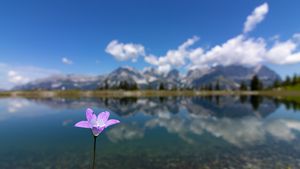 Wilder Kaiser